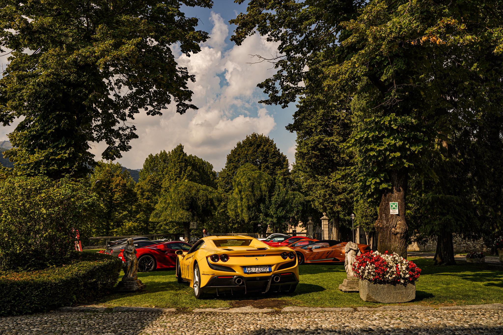 Supercar detail shot