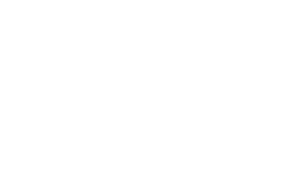 BrightFox