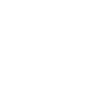 Romans International